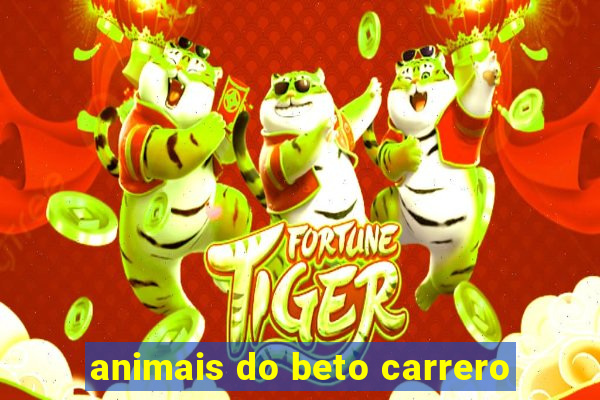 animais do beto carrero